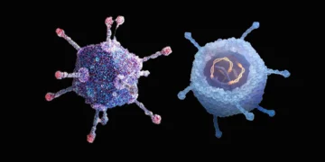 Genetiği Değiştirilmiş Onkolitik Virüs Tedavisi, Cilt Kanserine Karşı Başarılı Oldu