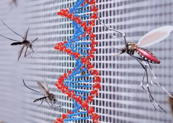 Sivrisinek Salgınlarına Karşı Genetik Bazlı Çevreci Çözüm: Toksik Erkek Tekniği