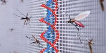 Sivrisinek Salgınlarına Karşı Genetik Bazlı Çevreci Çözüm: Toksik Erkek Tekniği