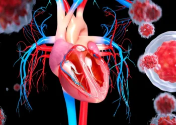 Kök Hücreden Üretilen ‘Kalp Yaması’ Kalp Yetmezliği Tedavisinde Başarılı Oldu