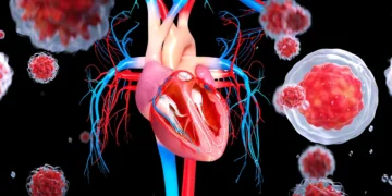 Kök Hücreden Üretilen ‘Kalp Yaması’ Kalp Yetmezliği Tedavisinde Başarılı Oldu