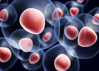 Kök Hücreden Üretilen ‘Kalp Yaması’ Kalp Yetmezliği Tedavisinde Başarılı Oldu