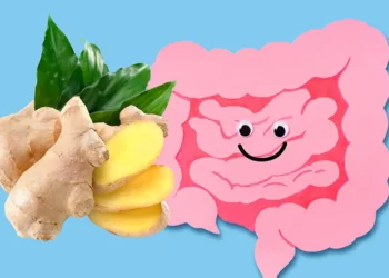 Zencefil, İltihabi Bağırsak Hastalığı Tedavisinde Umut Olabilir