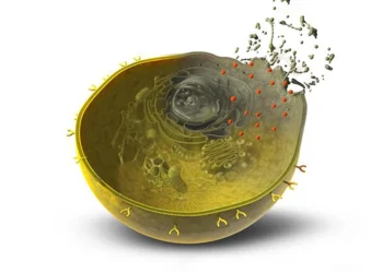 Yapay Zekâ ile Tasarlanan Proteinler, Kanser Hücrelerini Hedef Haline Getirip Yok Ediyor