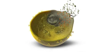 Yapay Zekâ ile Tasarlanan Proteinler, Kanser Hücrelerini Hedef Haline Getirip Yok Ediyor