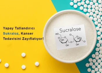 Yapay Tatlandırıcı Sukraloz, Kanser Tedavisini ve İmmünoterapinin Etkisini Zayıflatabilir