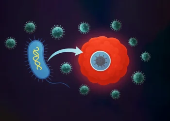 Yaşayan Turuva Atı: Bakterilere Gizlenen Virüsler Kanser Tedavisinde Başarılı Oldu