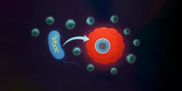 Yaşayan Turuva Atı: Bakterilere Gizlenen Virüsler Kanser Tedavisinde Başarılı Oldu