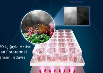 LED Işığıyla Aktive Edilen SnOx Nano Parçacıkları, Kanser Hücrelerini Nokta Atışıyla Yok Ediyor