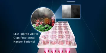 LED Işığıyla Aktive Edilen SnOx Nano Parçacıkları, Kanser Hücrelerini Nokta Atışıyla Yok Ediyor