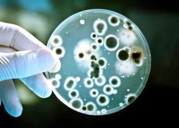 Ölümcül Süper Mikroplara Karşı 100 Kat Daha Güçlü Yeni Bir Antibiyotik Keşfedildi