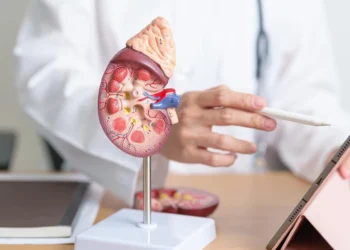 Sessiz İlerleyen Tehlike Böbrek Kanseri: Tanı, Evreleme ve Robotik Tedavi Rehberi