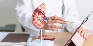 Sessiz İlerleyen Tehlike Böbrek Kanseri: Tanı, Evreleme ve Robotik Tedavi Rehberi