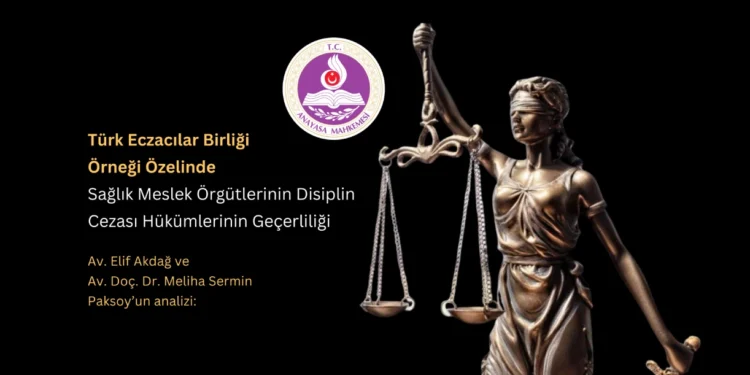 Türk Eczacılar Birliği Örneği Özelinde; Sağlık Meslek Örgütlerinin Disiplin Cezası Hükümlerinin Geçerliliği