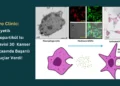Mayo Clinic’ten İleri Evre Kanserlere Karşı Nanopartikül Hipertermi Tedavisi!