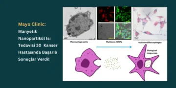 Mayo Clinic’ten İleri Evre Kanserlere Karşı Nanopartikül Hipertermi Tedavisi!
