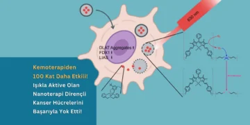 Yeni Nesil Nanoterapi İlaca Dirençli Kanser Hücrelerini Başarıyla Yok Etti!