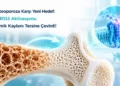 Osteoporoza Karşı Yeni Hedef: GPR133 Aktivasyonu Kemik Kaybını Tersine Çevirdi!