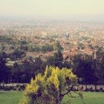 Sulhi HATTAB kullanıcısının profil fotoğrafı