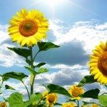 Dr. Aytekin Çelen kullanıcısının profil fotoğrafı