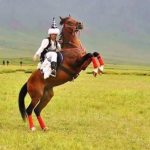 DYT MUSTAFA ALAY kullanıcısının profil fotoğrafı