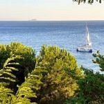 ışıl seray özdeş kullanıcısının profil fotoğrafı