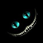 Muhammed Enes KOÇ kullanıcısının profil fotoğrafı