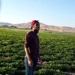 Öğrenci Emin Argın kullanıcısının profil fotoğrafı