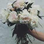 Stj. Dr. Zara Qurbanova kullanıcısının profil fotoğrafı